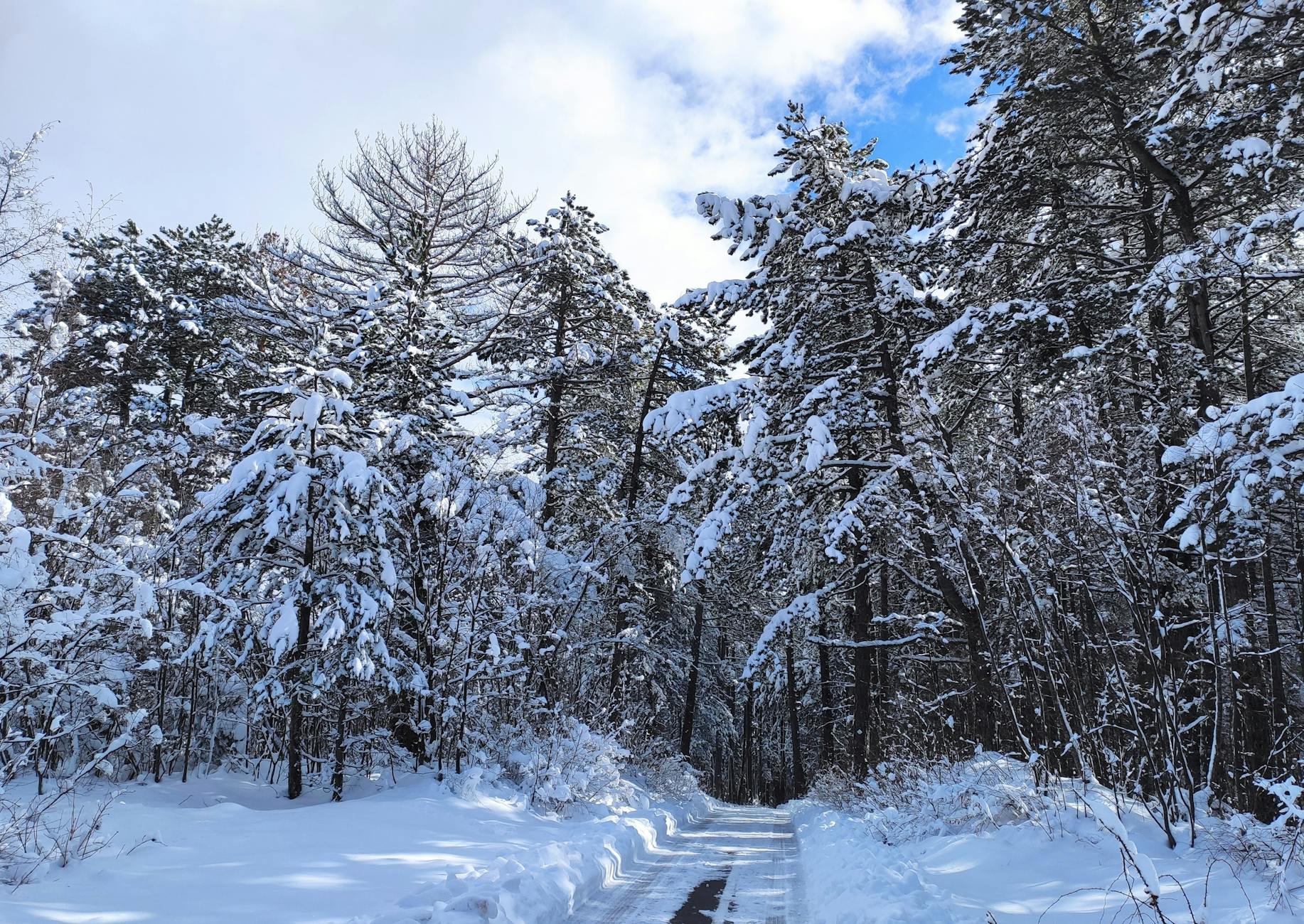 Gliwice pokonane – co się stało?